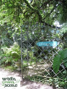 Little Tree Entrance